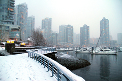 Metro Vancouver Snowy Day