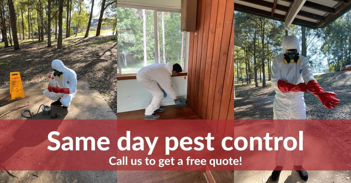 True Pest Control Melbourne