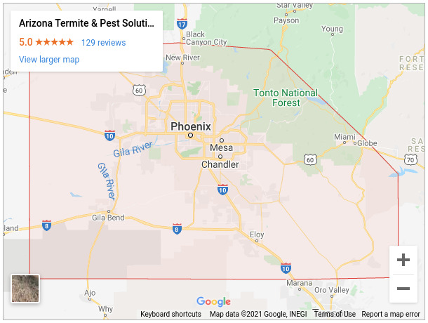 Arizona Termite & Pest Solutions