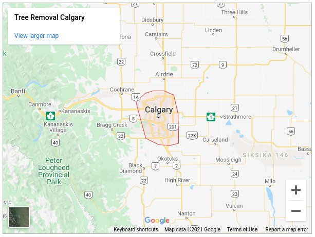Tree Removal Calgary