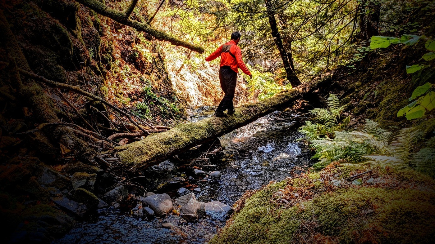 A man in hiking gear walks across a log  suspended above a creek in a canyon.