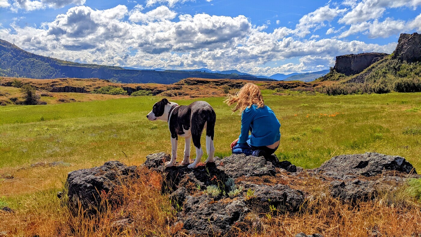 Pictured: A photograph of a sunny day with blue skies and white clouds overhead. A blonde girl and a white and black spotted dog resting on a rocky outcropping and looking out at a green grassy field encircled by rocky cliffs and expansive hills.