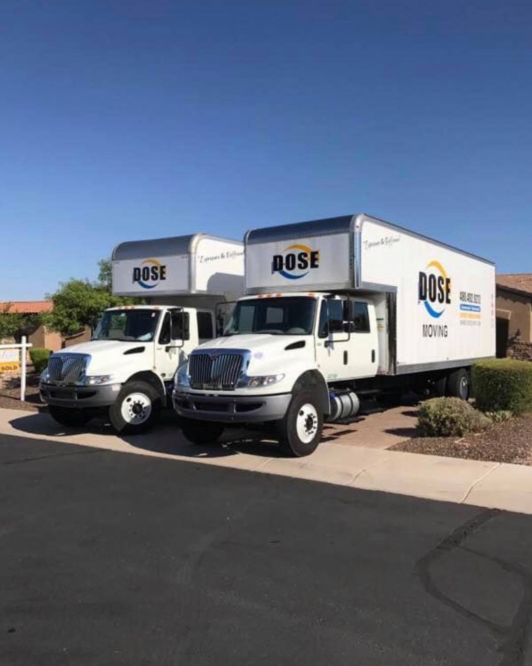 moving company Arizona & Virginia