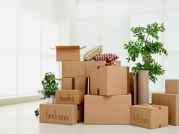 Packing Service Inc. Since its inception in 2003, the company has gone from strength to strength to become the leader in on-site packing and shipping services nationwide