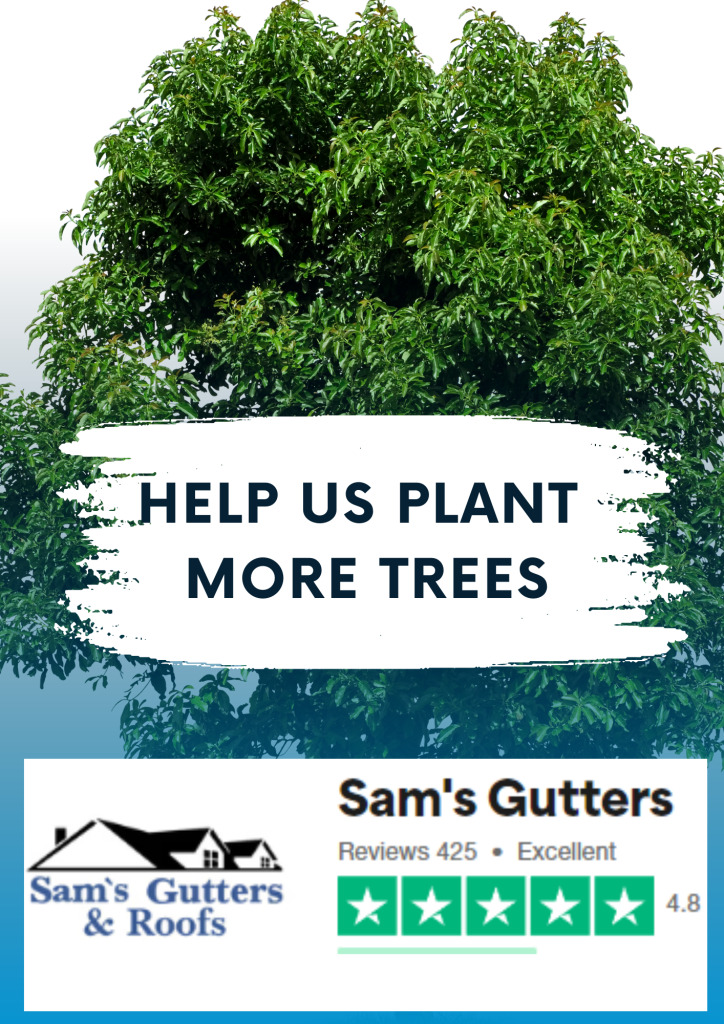 Sam's Gutters & Roofs Takes Action by Planting Over 1000 Trees