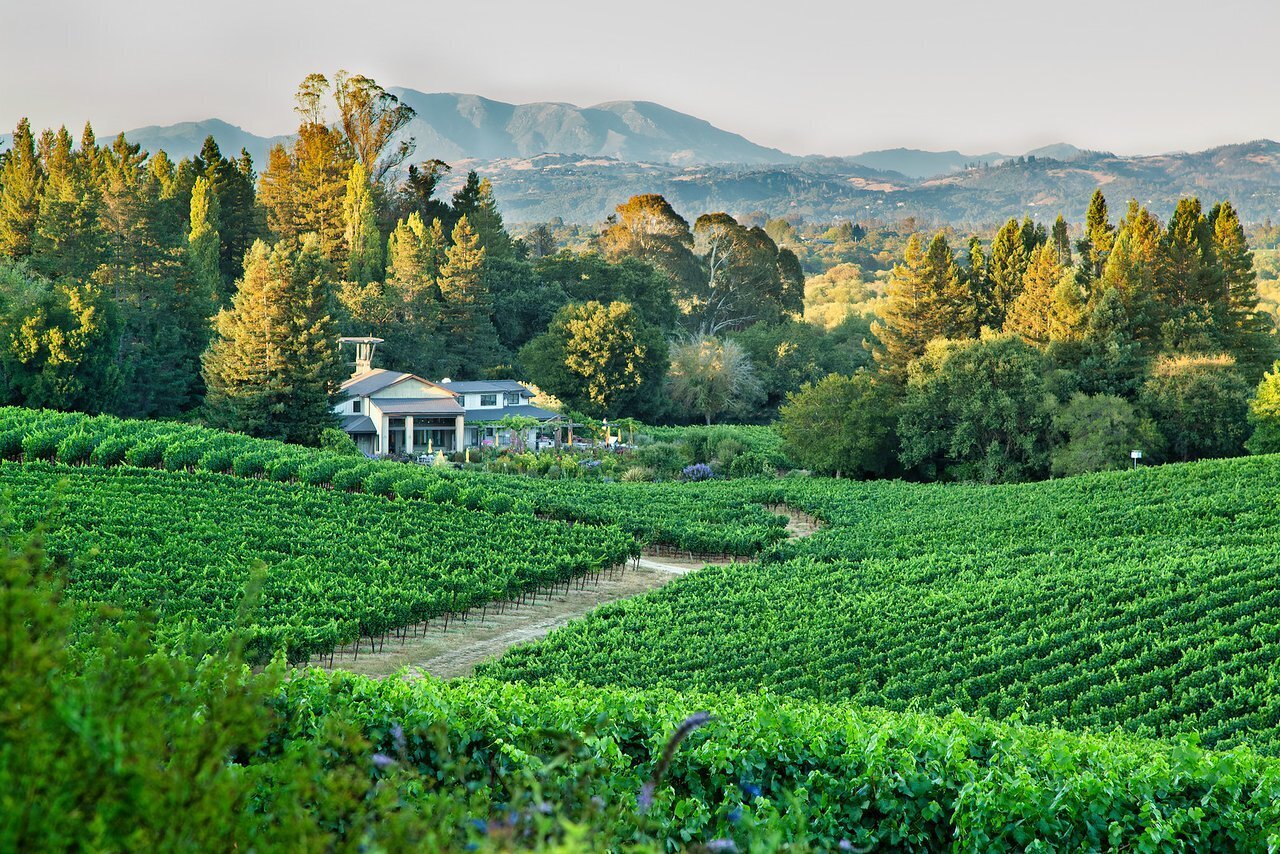 Sonoma County Wine Tasting Blog is an exclusive site that features a wide variety of information about wine, wineries, vineyards, and the best wine tasting rooms in the region