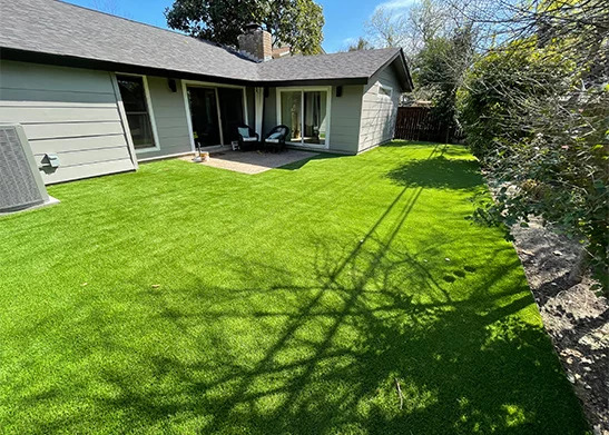 Lone Star Artificial Turf is a leading turf installation company based in Austin, TX. With a commitment to quality craftsmanship and exceptional customer service, the company provides top-notch artificial turf solutions for residential, commercial, and sports applications.