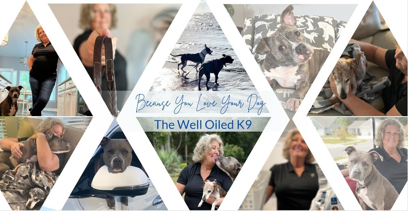 Launched by a certified pet health coach and dog nutritionist, Dana Brigman, the platform has become the go-to resource for pet parents who want to get information about their dogs and consult with an expert to improve the holistic well-being of their furry companions.