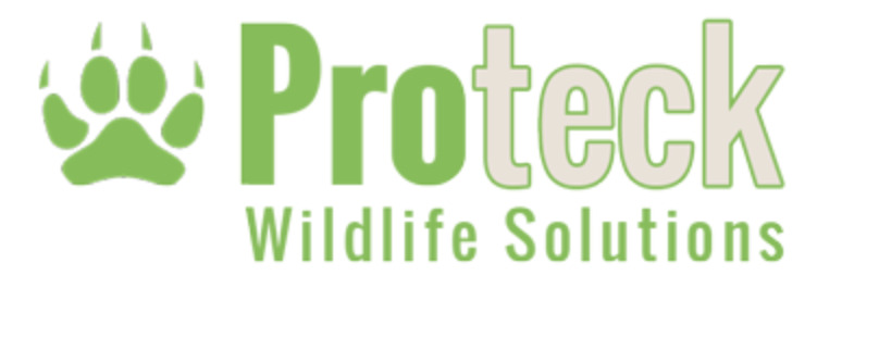 Proteck Wildlife Solutions, the leading Orlando pest control company, specializes in humane wildlife removal and management services.