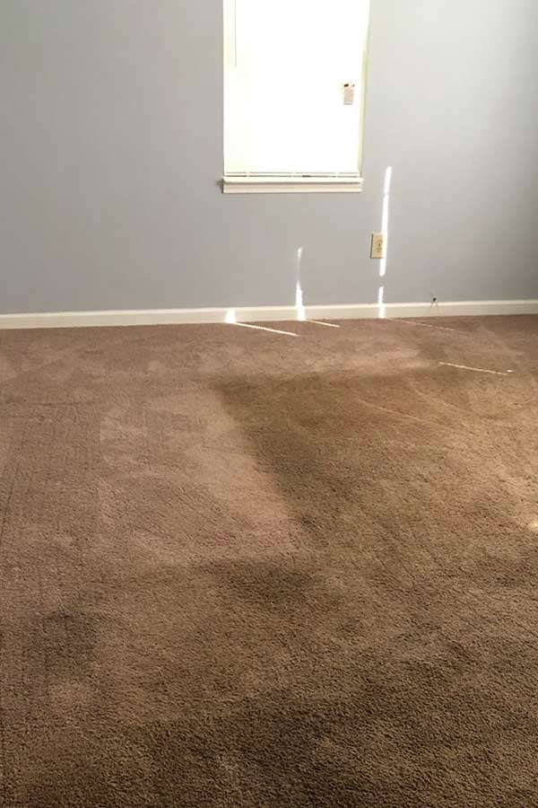 Steam N Fresh Carpet Cleaning is a leading provider of floor care services in Georgia, specializing in carpet cleaning, carpet repair, and water damage restoration.