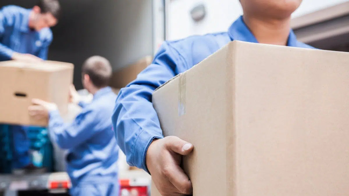 Moving Company San Jose specializes in providing comprehensive moving solutions for both residential and commercial clients in the San Jose area.