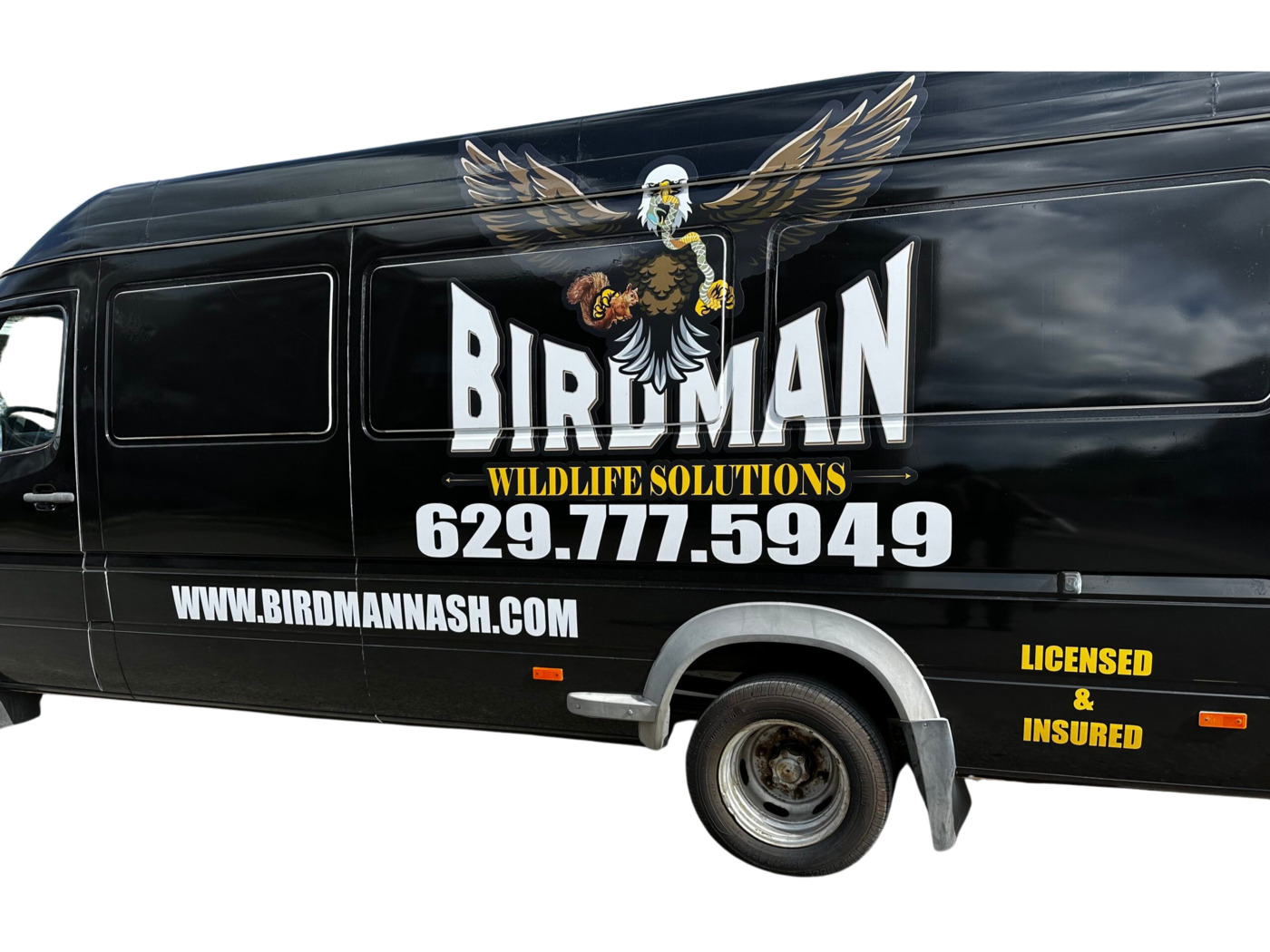 Birdman Wildlife Removal is a licensed, professional wildlife removal service specializing in the safe and effective management of bat infestations and other wildlife issues in Middle Tennessee.