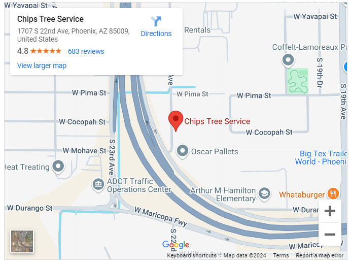 Chips Tree Service