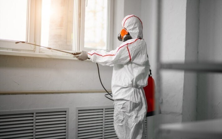 Killers Pest Control has been providing top-notch pest control services since 1982.