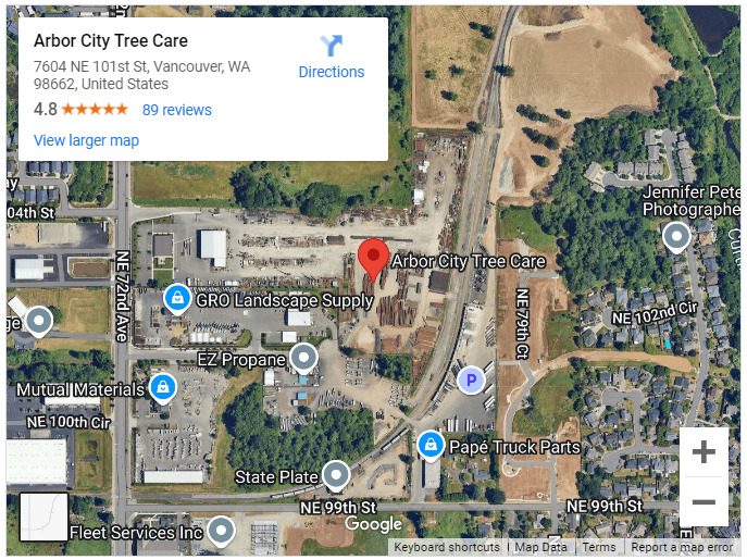 Arbor City Tree Care