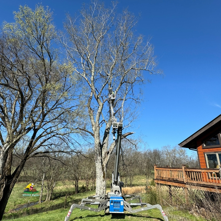 Stump Eater Tree Service provides expert tree trimming, removal, and stump grinding services throughout Rutherford County, Tennessee.