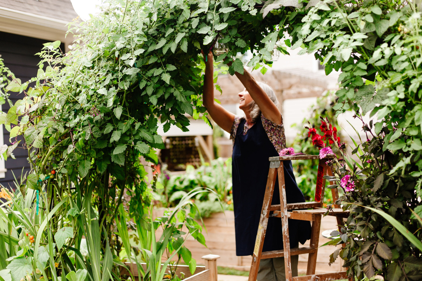 A lush garden scene featuring Sara Rubens of Seed to Sanctuary, offering personalized garden coaching among thriving plants and flowers.