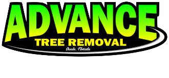 Advance Tree Removal LLC provides expert tree debris removal and hauling, land clearing, and emergency storm cleanup services in Ocala, FL, and surrounding areas.