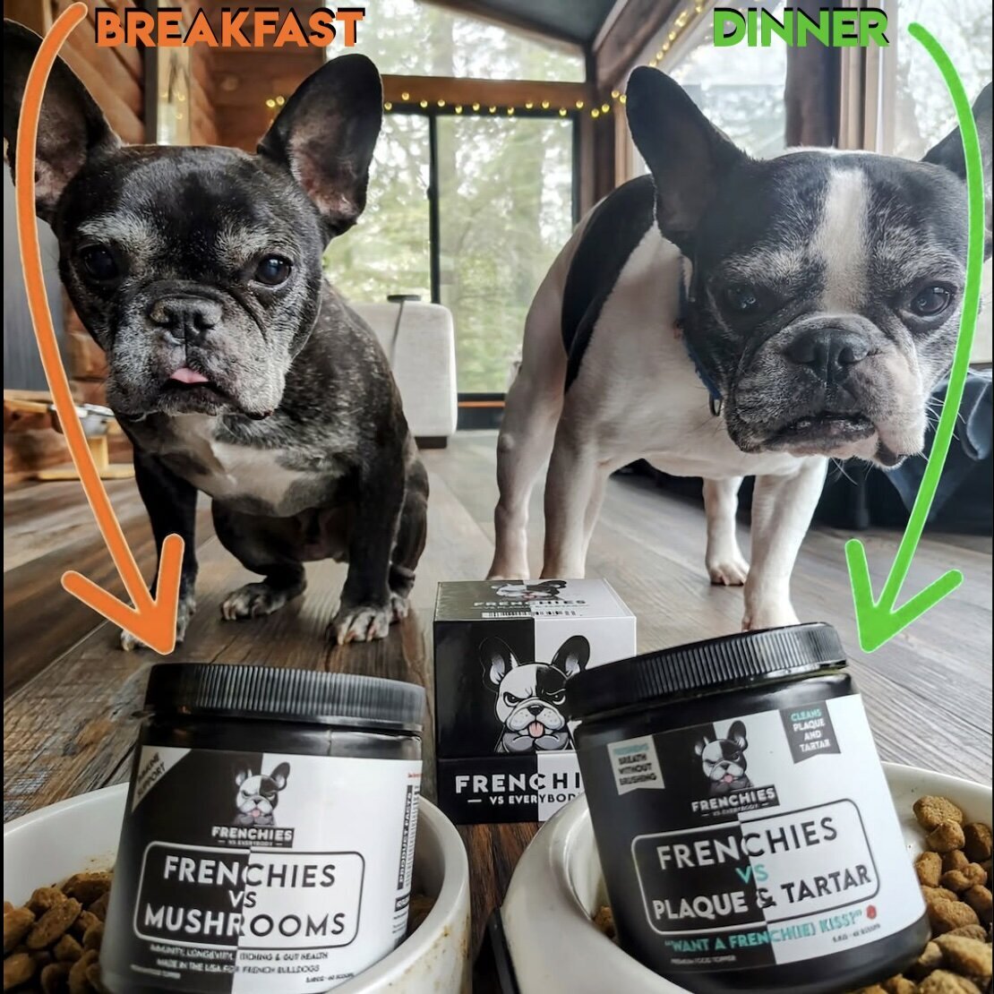 Frenchies vs Everybody provides helpful and healthy products designed specifically for French Bulldogs and other brachycephalic dog breeds.