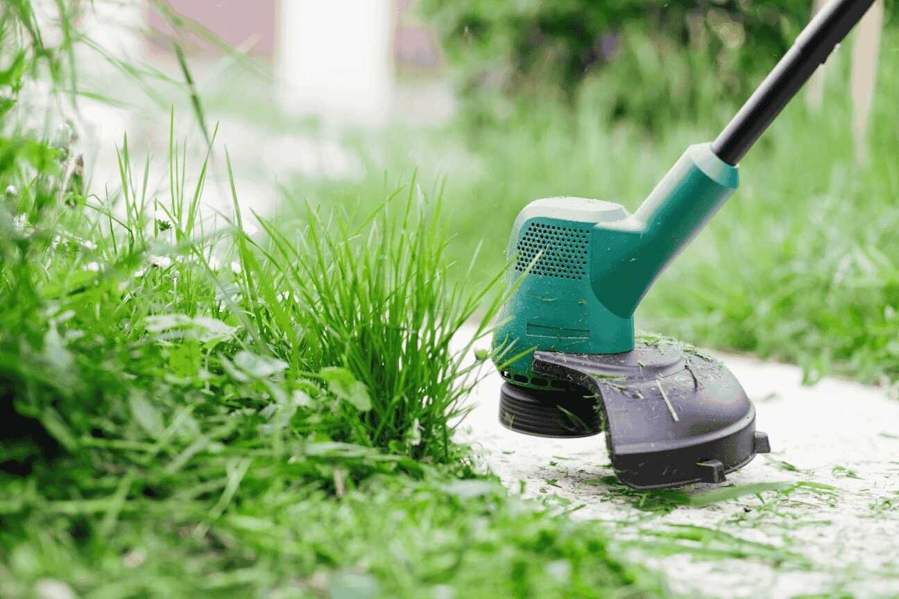 'Grass