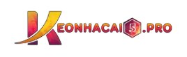Tylekeonhacai5 is an online football platform offering free, fast, and transparent bookmaker odds.
