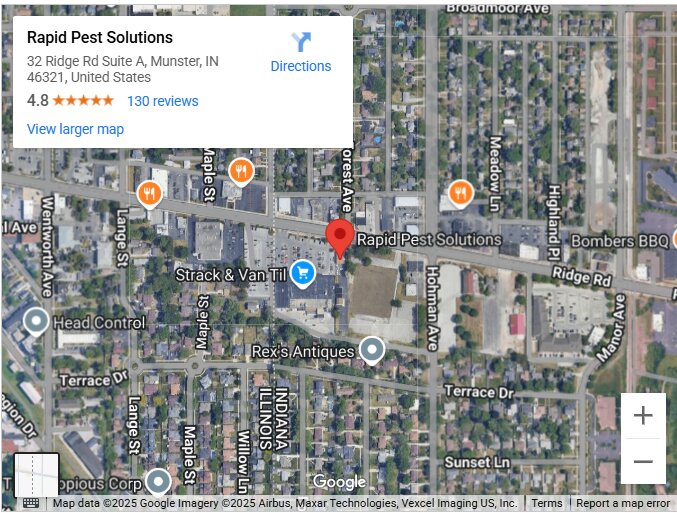 Rapid Pest Solutions