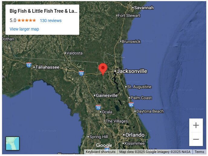 Big Fish & Little Fish Tree & Lawn Service, LLC