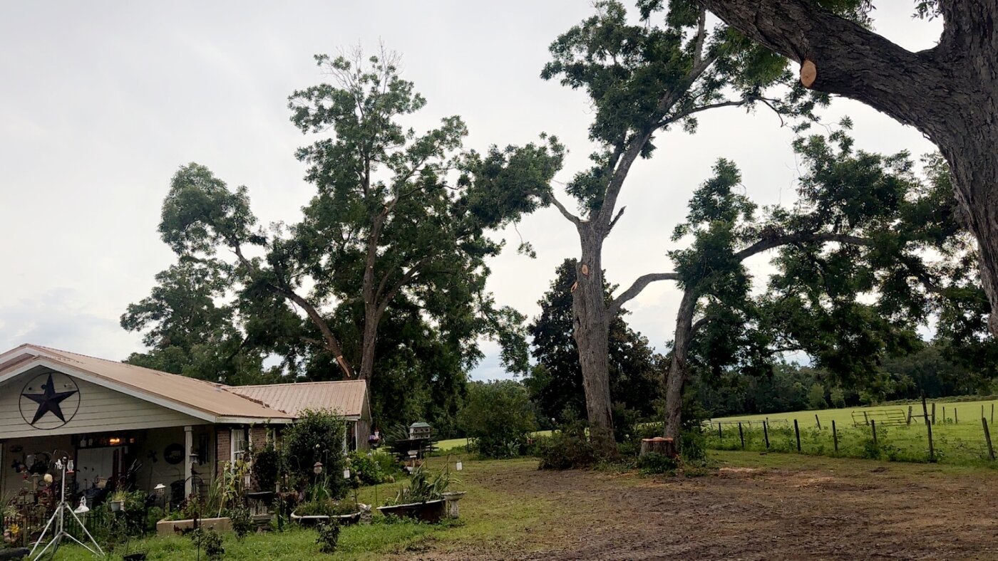 Big Fish & Little Fish Tree & Lawn Service is more than a seasonal solution; it is a year-round partner in protecting properties against the unpredictable nature of Florida weather.