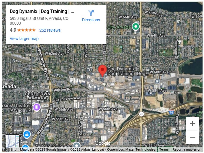 Dog Dynamix | Dog Training | Dog Board and Train | Puppy Training