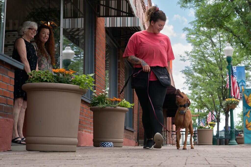 Dog Dynamix is Denver’s premier dog training company, helping families raise calm, confident, and reliable dogs.