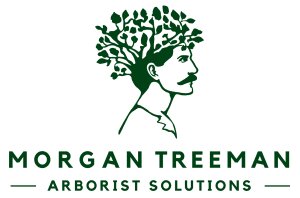Morgan Treeman Arborist Solutions is where precision meets passion for the Sunshine Coast’s treescape.