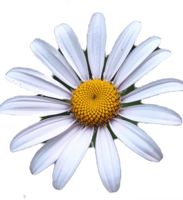 This This Marketing is a marketing agency specializing in Local SEO, web development, PPC, content marketing, and social media strategies to help small and service-based businesses grow.