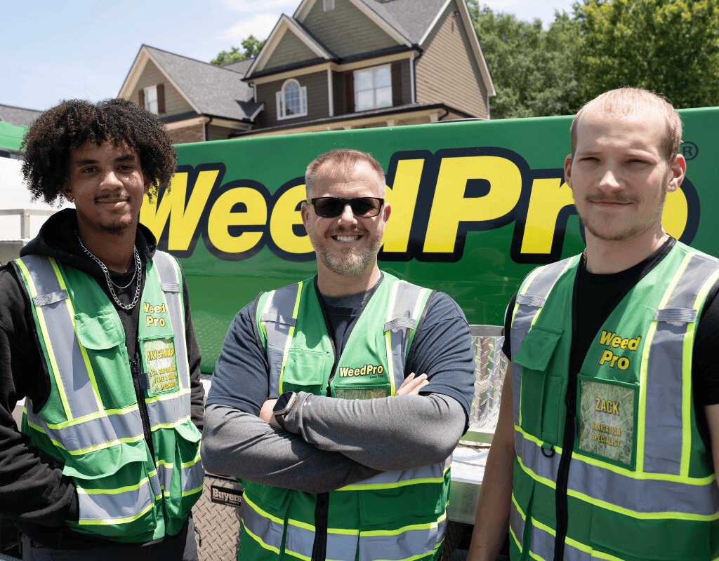WeedPro Lawn Care is a premier provider of professional lawn services, family-owned and not equity-owned, dedicated to helping homeowners achieve and maintain thick, green, and healthy lawns.