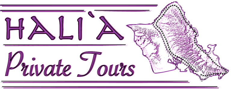 Hali'a Private Tours