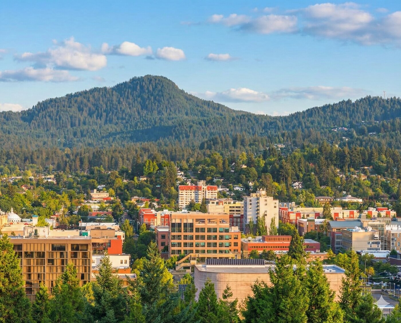 Founded in 2005, 9 Planets is a Eugene, Oregon–based website hosting company specializing in managed WordPress hosting and website maintenance.