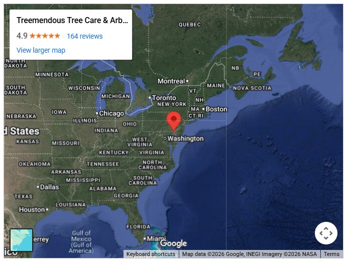 Treemendous Tree Care & Arborist Trimming Service
