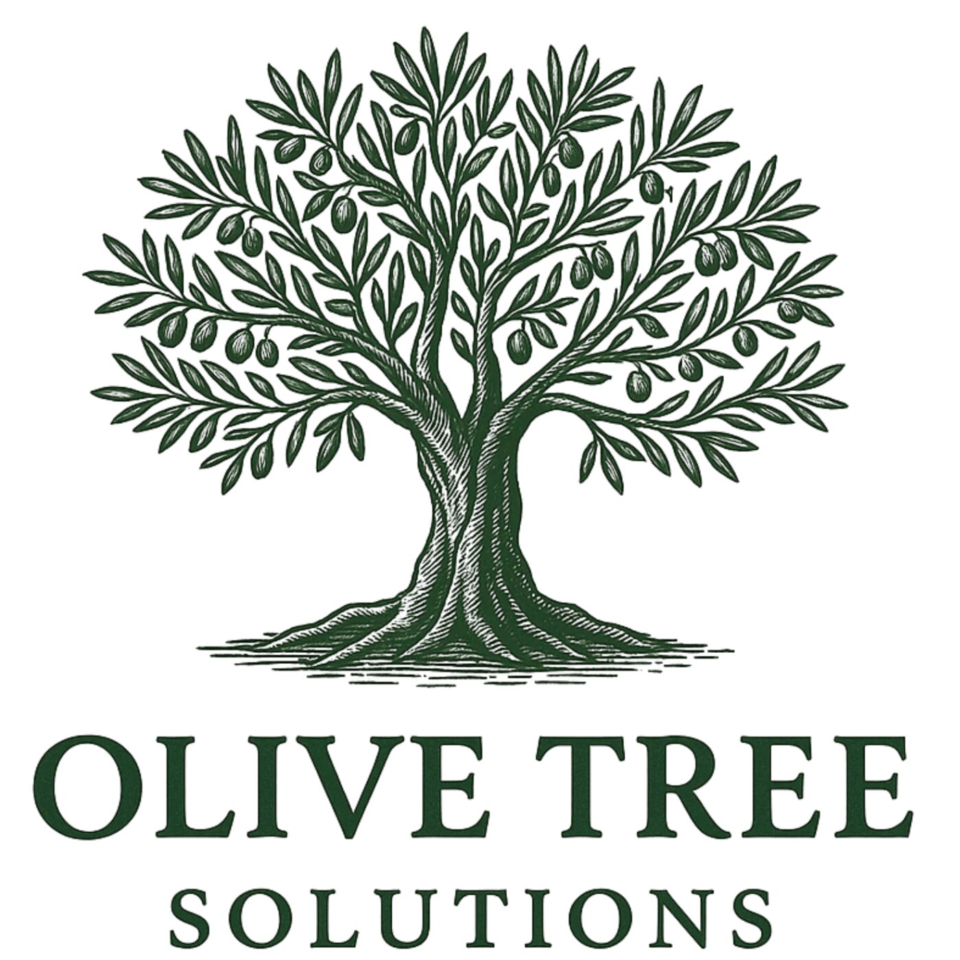Olive Tree Solutions Launches New Service To Help Recover Surplus Funds