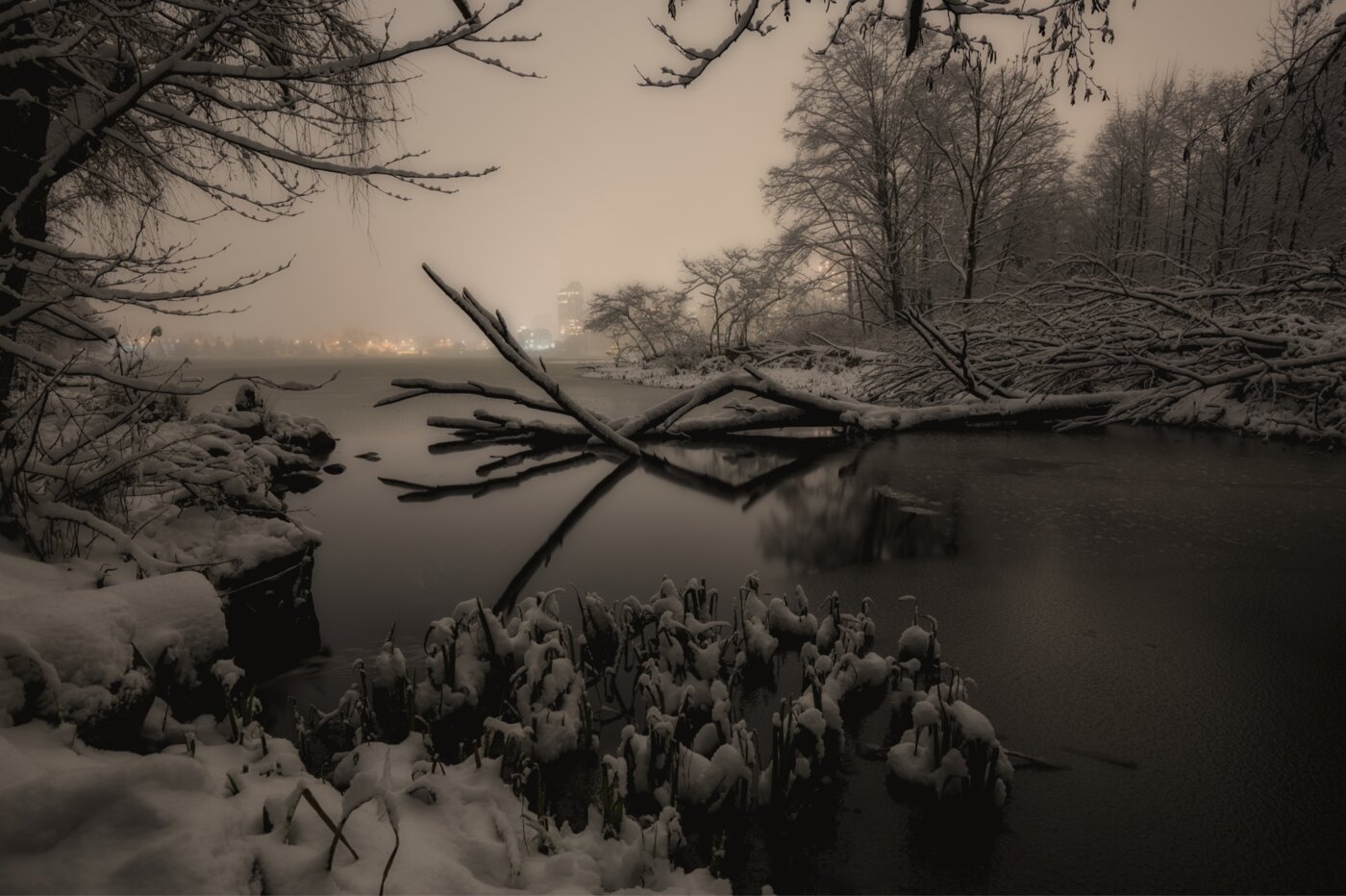 Limitless Snow Removal Announces Strategic Partnership With WIE™ Winter Intelligence Engine