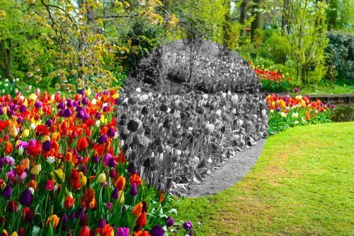 Colormax.org specializes in performance-engineered ColorCorrective contact lenses for individuals with color vision deficiency.