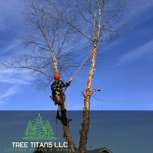 Tree Titans LLC is a locally owned and operated tree service company based in Grants Pass, Oregon.