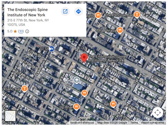 The Endoscopic Spine Institute of New York