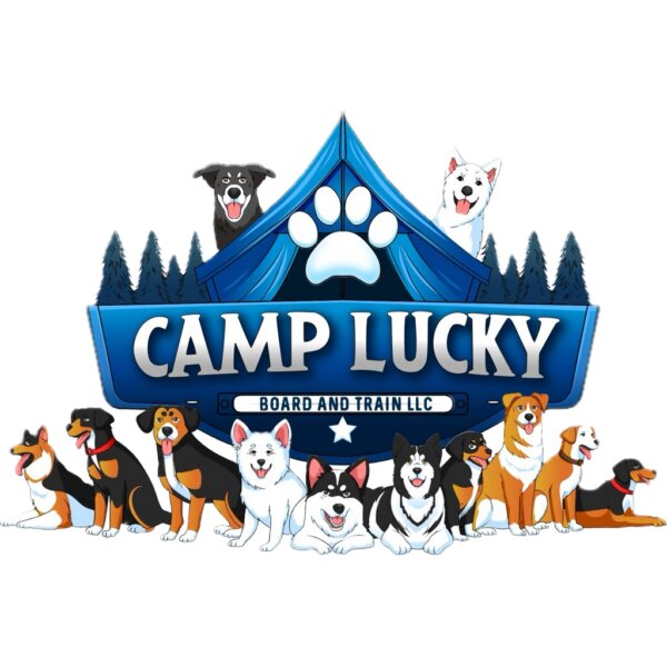 Camp Lucky Board and Train Kansas City provides professional dog training services designed to improve obedience, behavior, and real-world reliability.