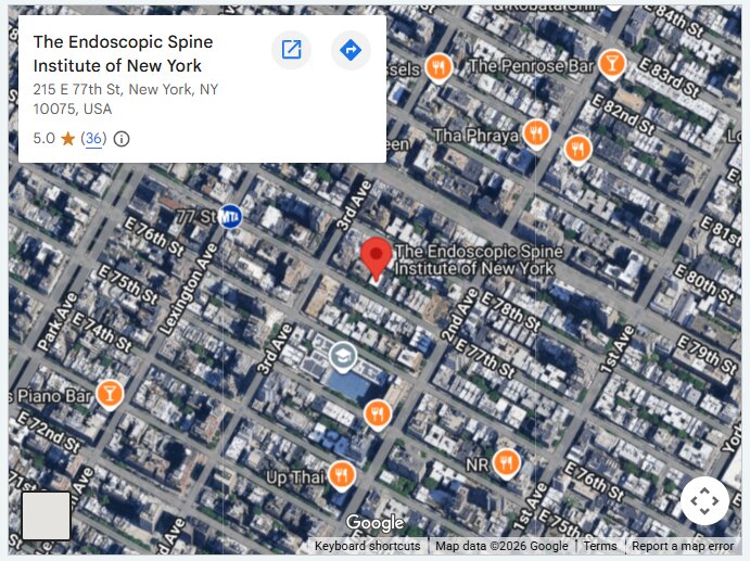 The Endoscopic Spine Institute of New York