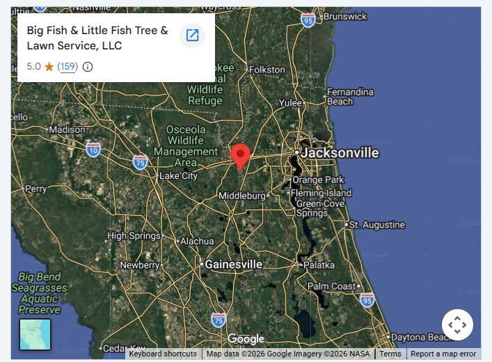 Big Fish & Little Fish Tree & Lawn Service, LLC