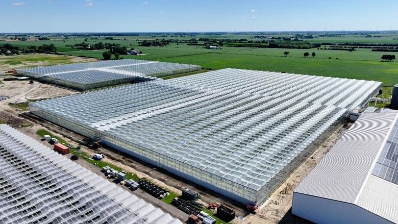 Located in Leamington, Ontario, SEF has been a pioneer in the North American greenhouse industry for over 30 years, evolving from greenhouse components to premium full turn-key solutions, including design, manufacturing, construction, and project management.