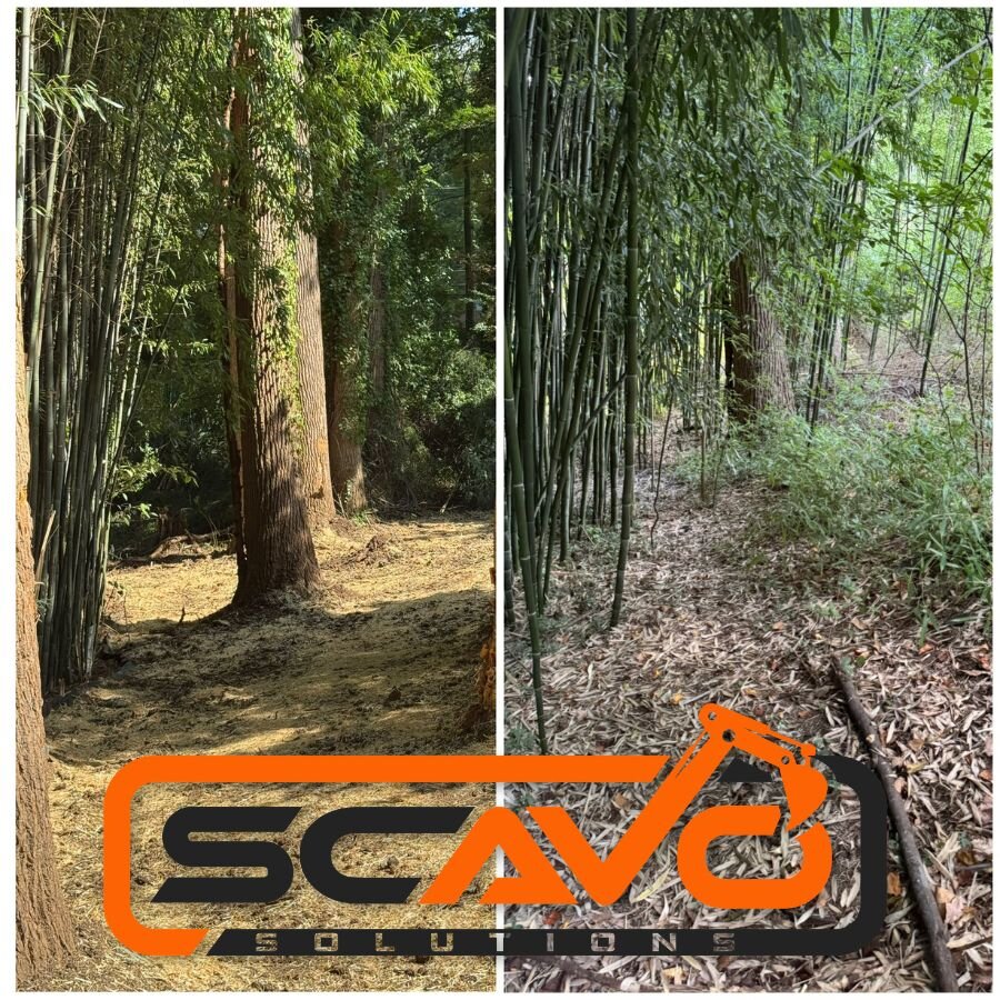 Scavo Solutions