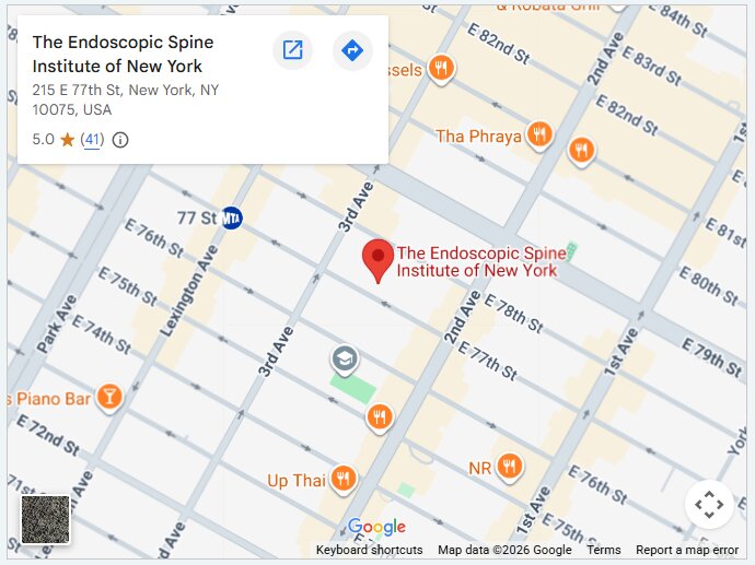 The Endoscopic Spine Institute of New York