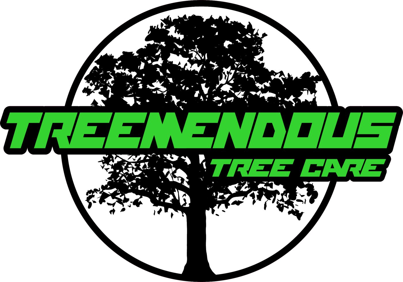 Treemendous Tree Care is a team of professional arborists serving Southeast Michigan homeowners and property managers across Macomb, Oakland, and Wayne counties.