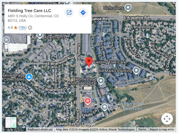 Fielding Tree Care LLC