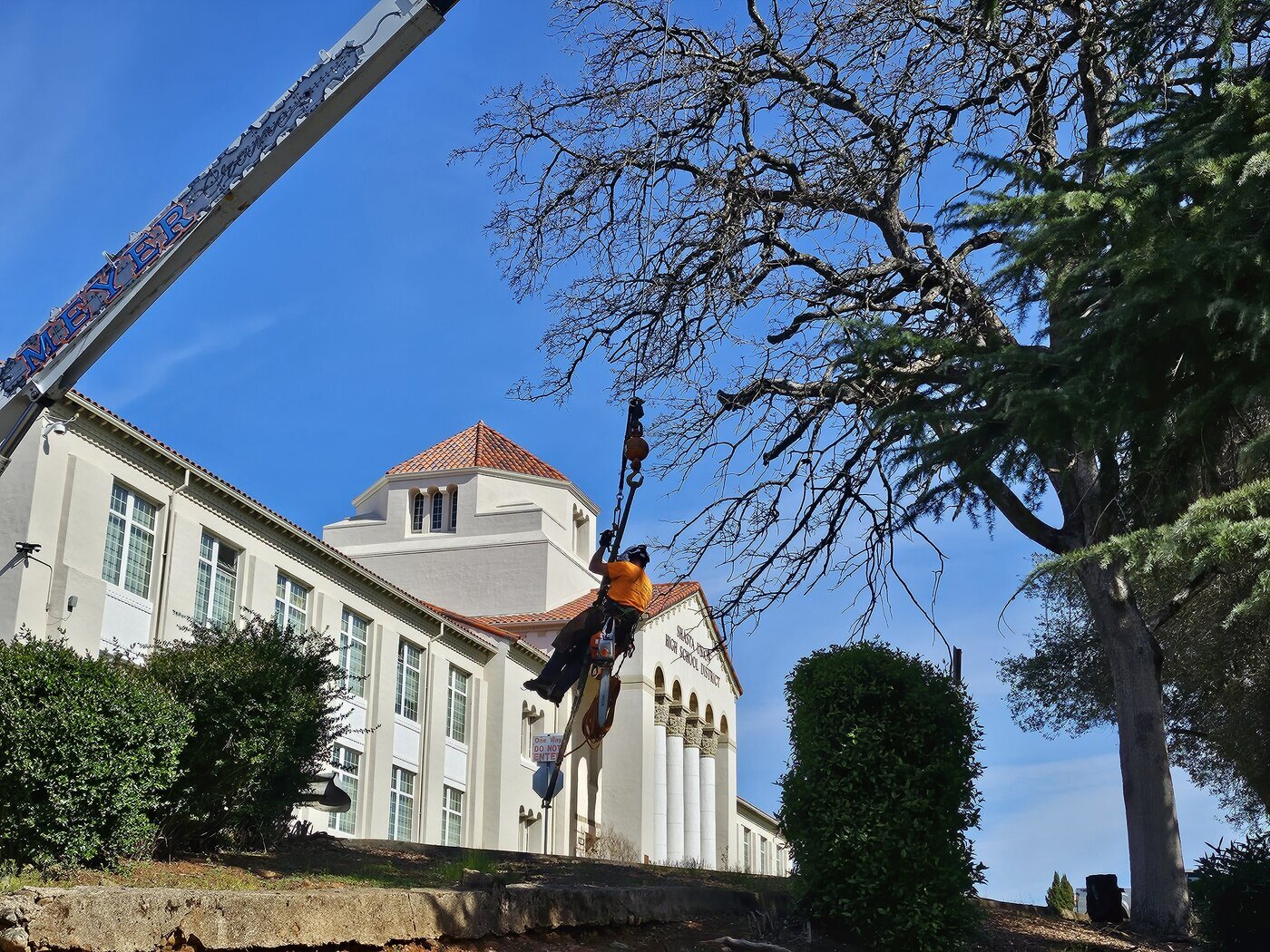 Easy Does It Tree Service Highlights Critical Arborist Services for Peak Summer Season in Redding, CA